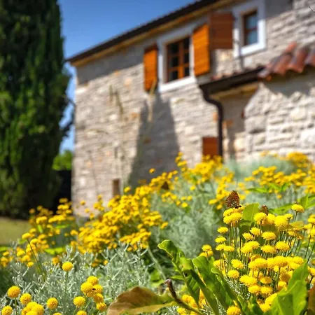 Rustic Nonna Lucia With Pool In Groznjan Villa *