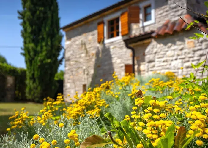 Rustic Nonna Lucia With Pool In Groznjan Villa *